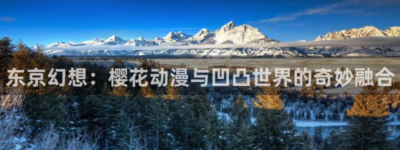 omofun\'：东京幻想：樱花动漫与凹凸世界的奇妙融合