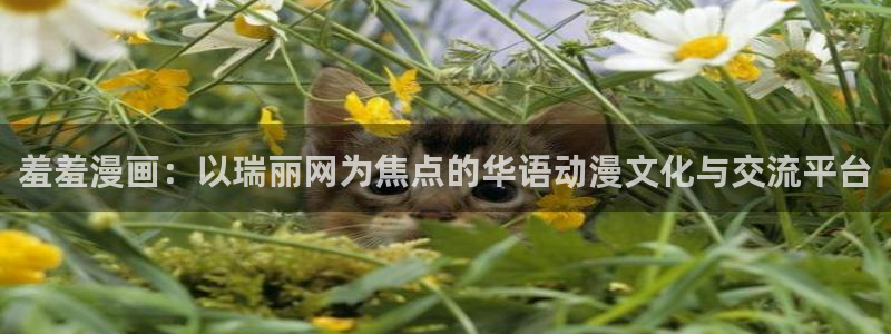 omofun\'：羞羞漫画：以瑞丽网为焦点的华语动漫文化与交流平台