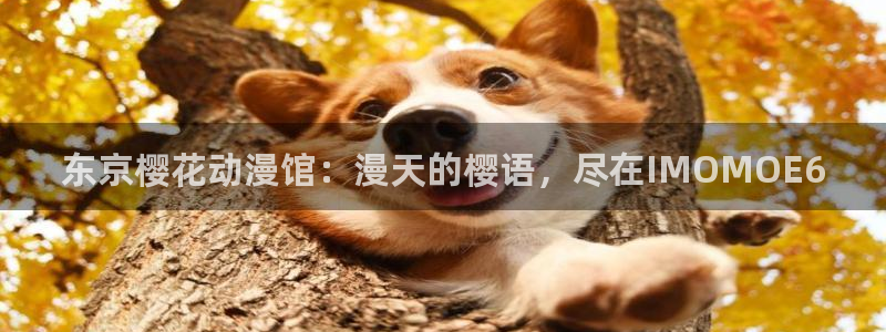 动漫天堂下载入口：东京樱花动漫馆：漫天的樱语，尽在IMOMOE6