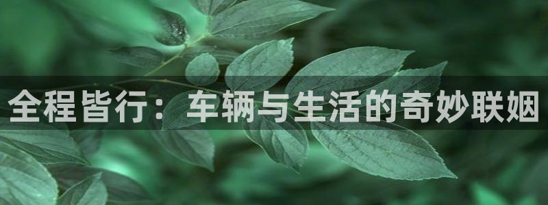 动漫天堂正版下载：全程皆行：车辆与生活的奇妙联姻
