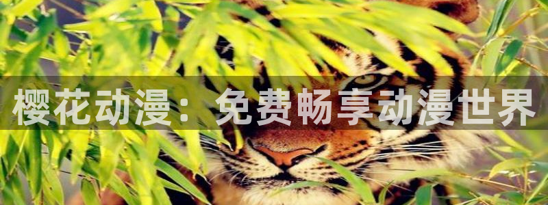 动漫天堂下载入口最新：樱花动漫：免费畅享动漫世界