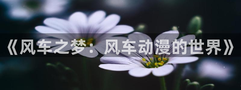 omofun网站：《风车之梦：风车动漫的世界》