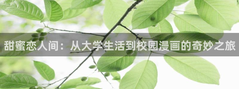 omofun的官网：甜蜜恋人间：从大学生活到校园漫画的奇妙之旅