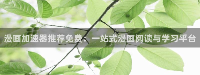 omofun网页版