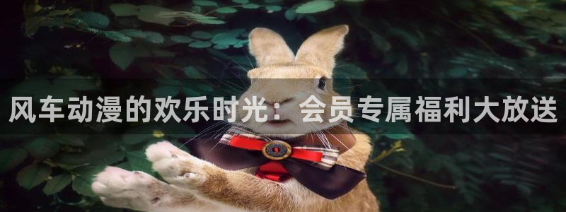 omofun官方版入口：风车动漫的欢乐时光：会员专属福利大放送