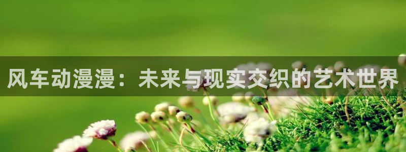omofun永久发布页：风车动漫漫：未来与现实交织的艺术世界