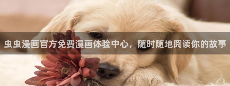 omofun动漫在线观看看