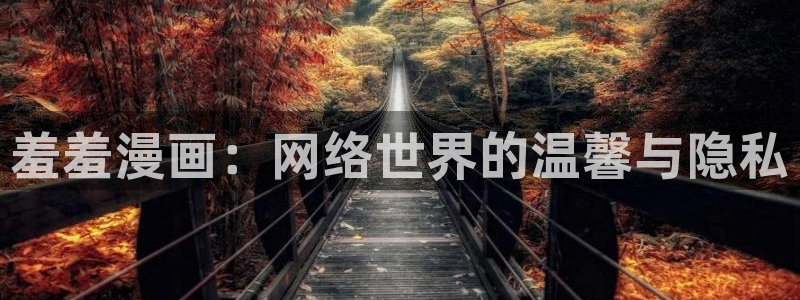 动漫天堂入口安卓：羞羞漫画：网络世界的温馨与隐私