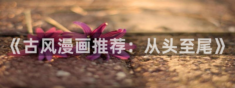 omofunpc：《古风漫画推荐：从头至尾》