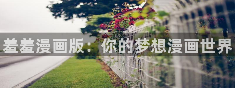 omofun动漫网官网：羞羞漫画版：你的梦想漫画世界
