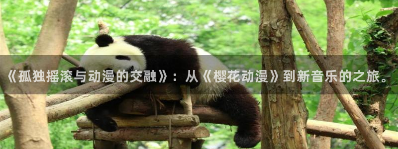 omofun官方网站：《孤独摇滚与动漫的交融》：从《樱花动漫》到新音乐的之旅。