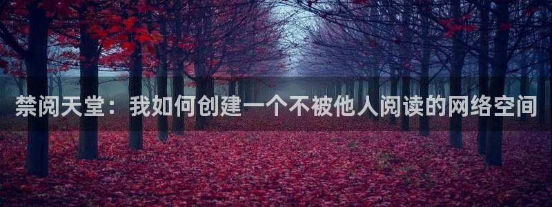 omofun动漫怎么下载：禁阅天堂：我如何创建一个不被他人阅读的网络空间