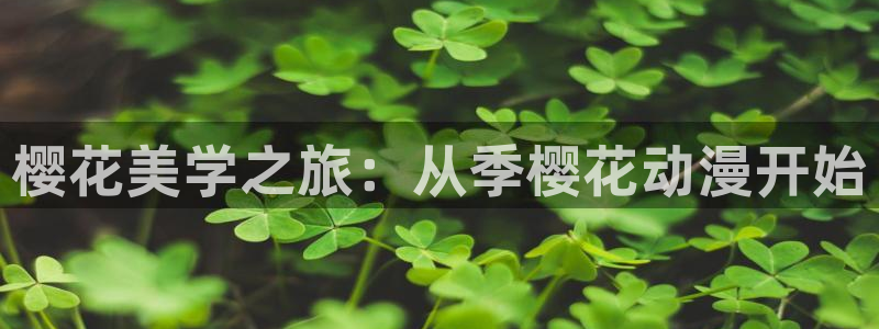 omofun动漫官网最新版：樱花美学之旅：从季樱花动漫开始