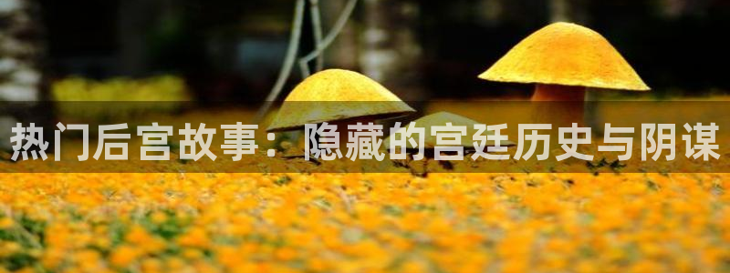 omofun入口：热门后宫故事：隐藏的宫廷历史与阴谋
