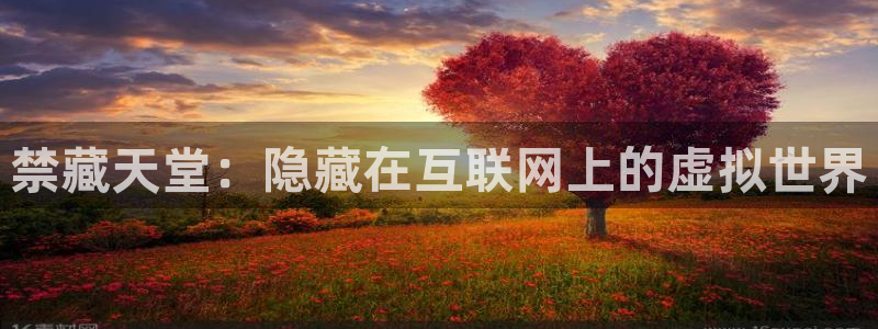 omofun去广告版：禁藏天堂：隐藏在互联网上的虚拟世界