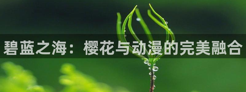 omofun66：碧蓝之海：樱花与动漫的完美融合