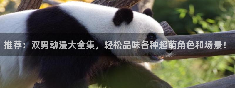 omofun免费看动漫：推荐：双男动漫大全集，轻松品味各种超萌角色和场景！