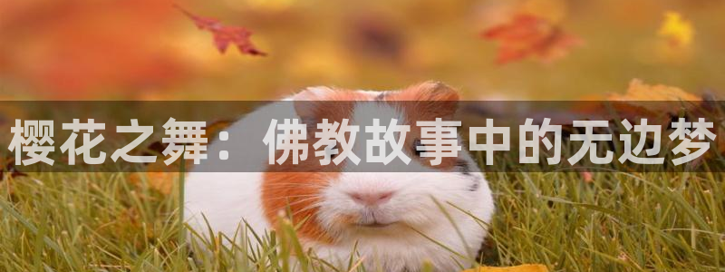 omofun66：樱花之舞：佛教故事中的无边梦