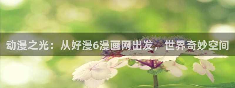 omofun动漫官方：动漫之光：从好漫6漫画网出发，世界奇妙空间