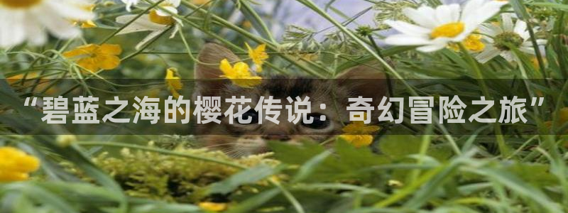 动漫天堂网站入口：“碧蓝之海的樱花传说：奇幻冒险之旅”
