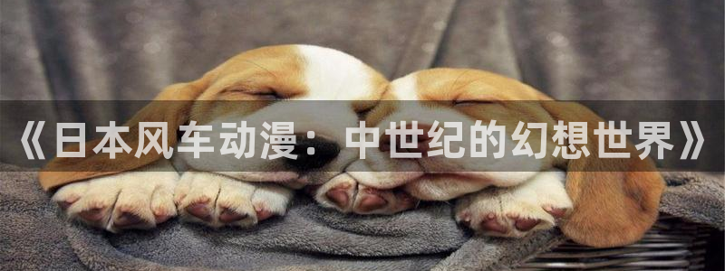 omofun动漫正版：《日本风车动漫：中世纪的幻想世界》