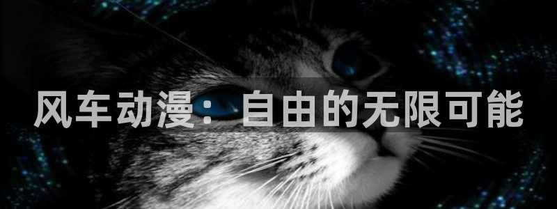 动漫天堂最新版下载：风车动漫：自由的无限可能